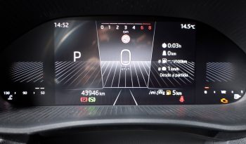 Skoda Fabia 1.0 TSI 116cv DSG completo