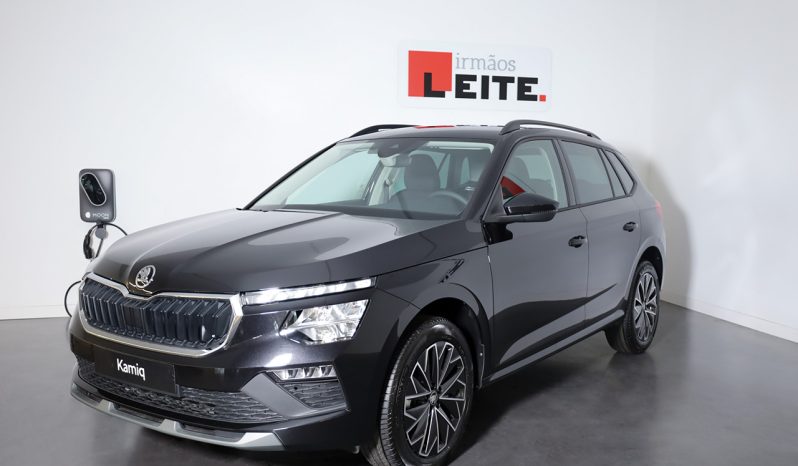 Skoda Kamiq 1.0 TSI 116CV DSG completo