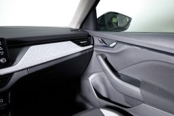 Skoda Kamiq 1.0 TSI 116CV DSG completo