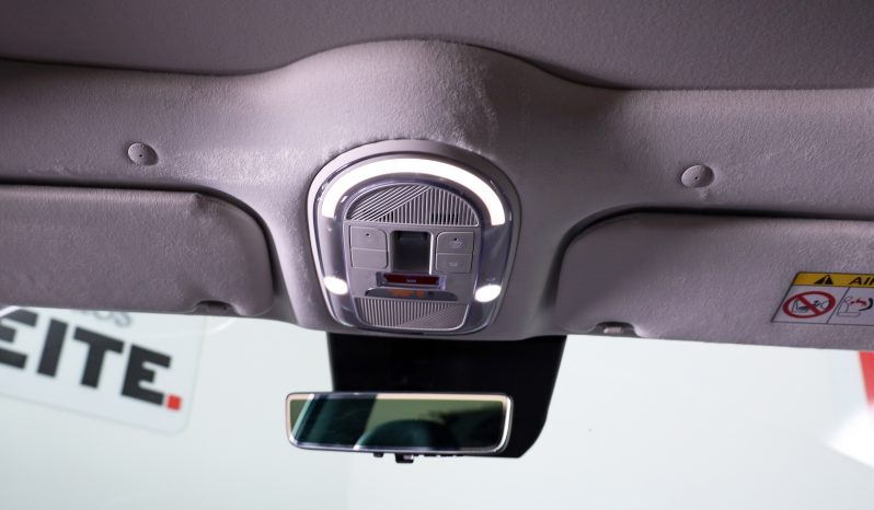 Hyundai IONIQ 9 600km Calligrap MY25  completo