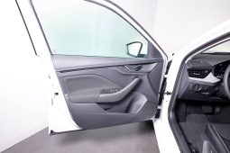 Skoda Kamiq 1.0 TSI 116CV DSG completo