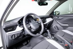 Skoda Kamiq 1.0 TSI 116CV DSG completo