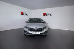 SKODA Octavia BREAK 2.0 TDI 116cv STYLE completo