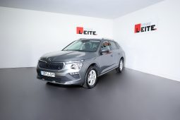 Skoda Kamiq 1.0 TSI 116cv completo