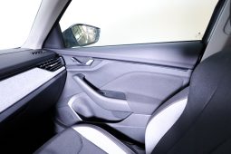 Skoda Kamiq 1.0 TSI 116cv completo
