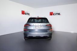 Skoda Kamiq 1.0 TSI 116cv completo